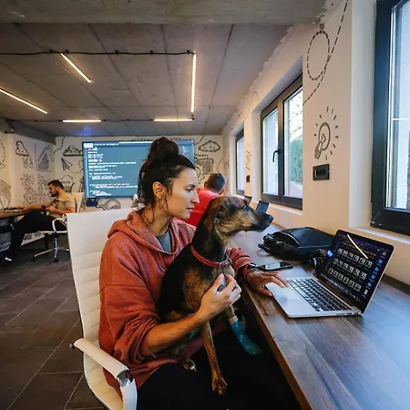 아파트 Montanova 즐라티보