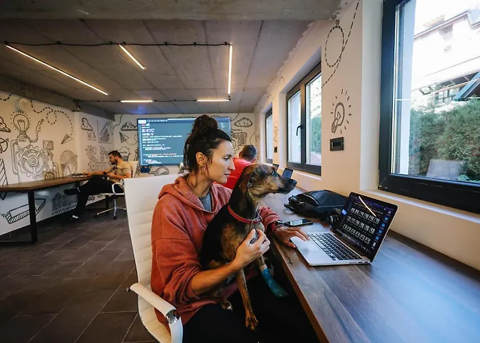 Daire Montanova Zlatibor